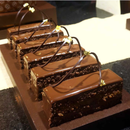 Cocoa Alcalina Turin